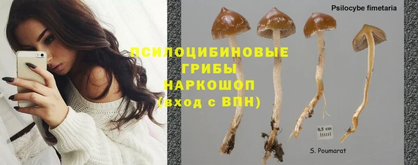 СК Алзамай